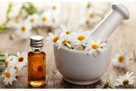 Phytopreparation based on chamomile for the treatment of joint diseases