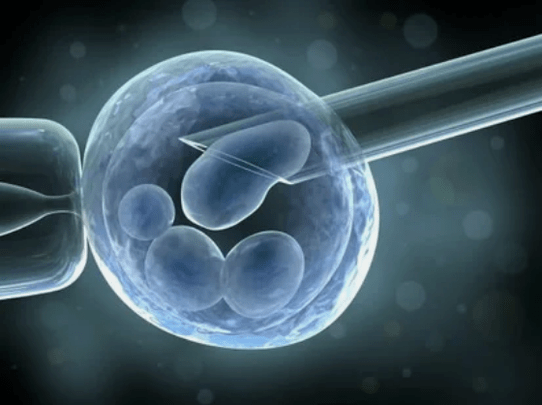 Stem cells treat the knee